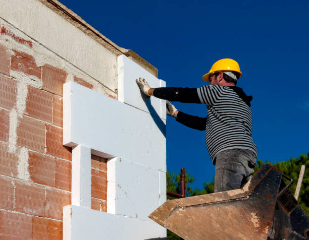 Best Best Insulation Companies  in Dequincy, LA